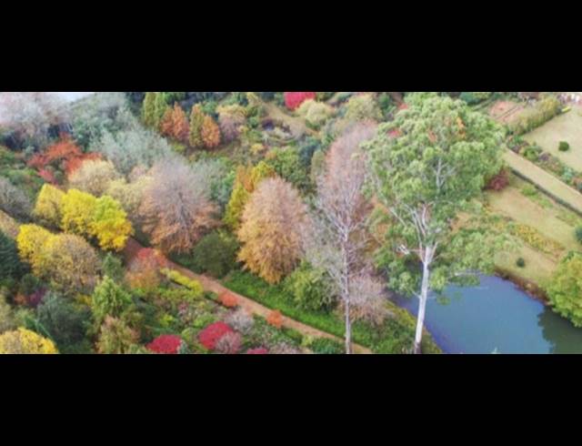 FARM FOR SALE IN TZANEEN RURAL